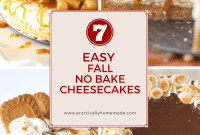 Cozy Fall No-Bake Cheesecake Delights