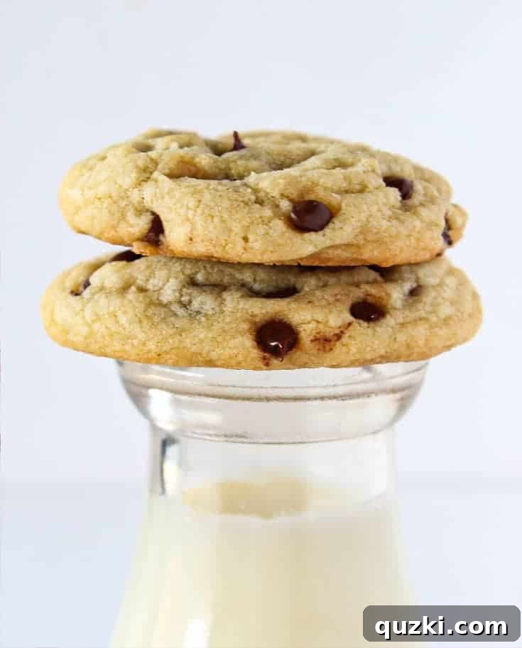 Ulusal Çikolata Parçacıklı Kurabiye Günü'ne Özel: En İyi 5 Kurabiye Tarifi 7 Perfectly soft and chewy chocolate chip cookies cooling on a wire rack.
