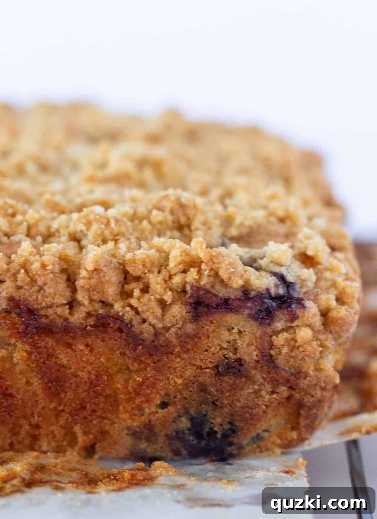 Effortless Lemon Blueberry Sour Cream Crumb Cake 13 The finished Lemon Blueberry Crumb Cake baking in the oven until perfectly golden brown and fragrant.