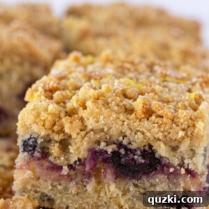 Easy Lemon Blueberry Crumb Cake with Sour Cream, a recipe featured by Practically Homemade