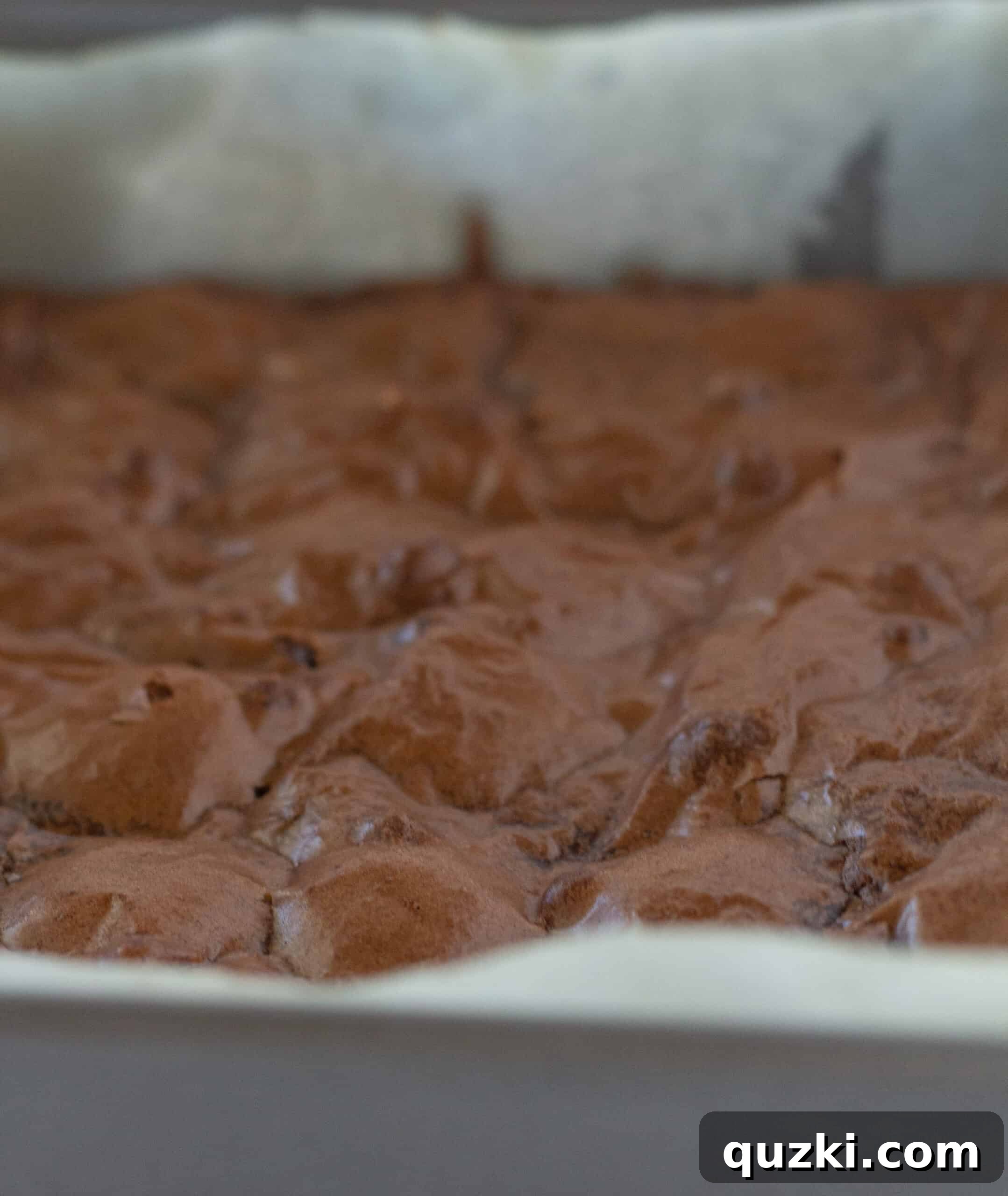 The fudgy brownies freshly out of the oven, cooling on a rack, indicating doneness.