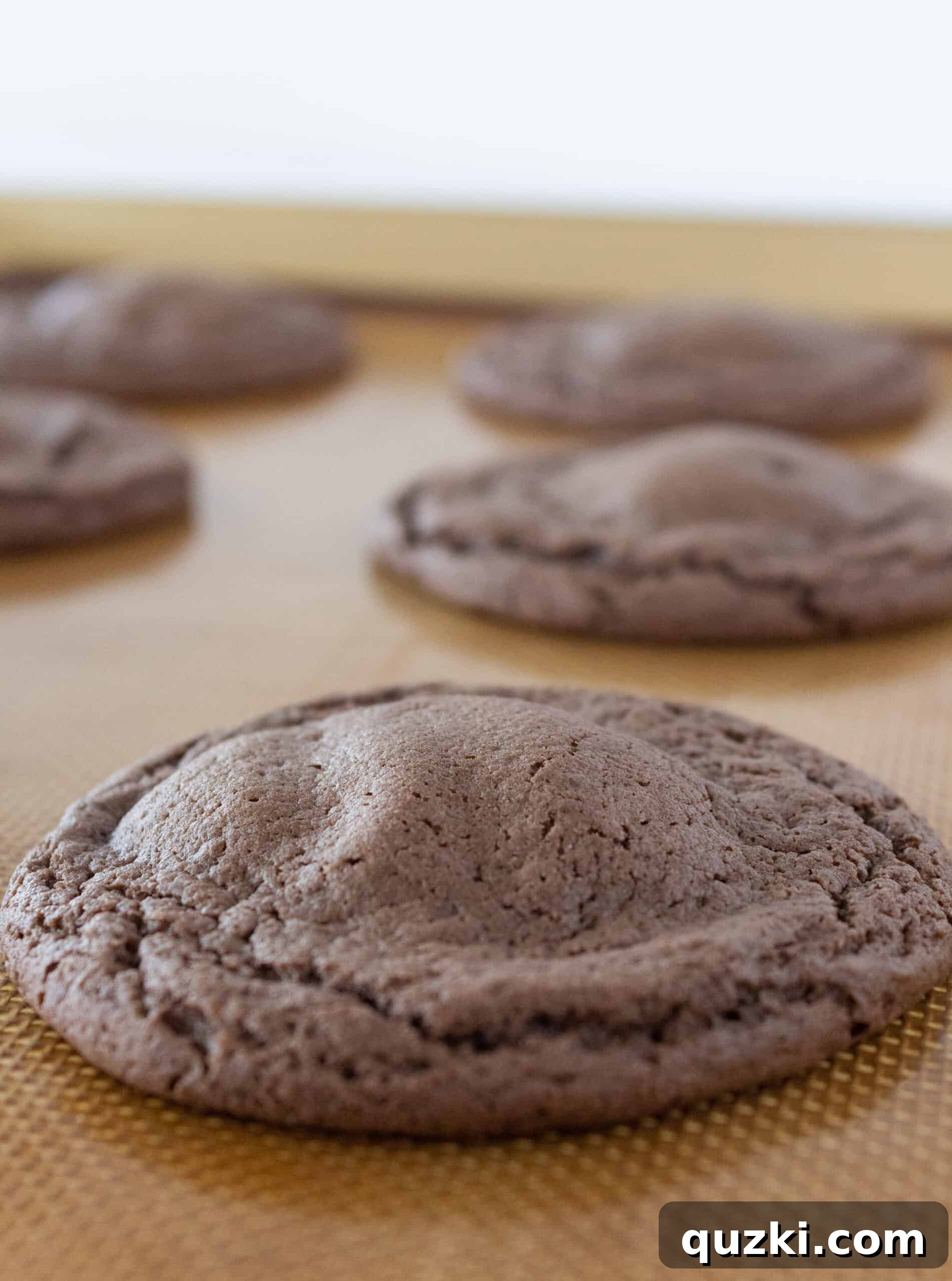 Cake Mix Chocolate Cheesecake Cookies 11 Freshly baked Chocolate Cheesecake Cookies cooling on a baking sheet, showcasing their soft, appealing texture.