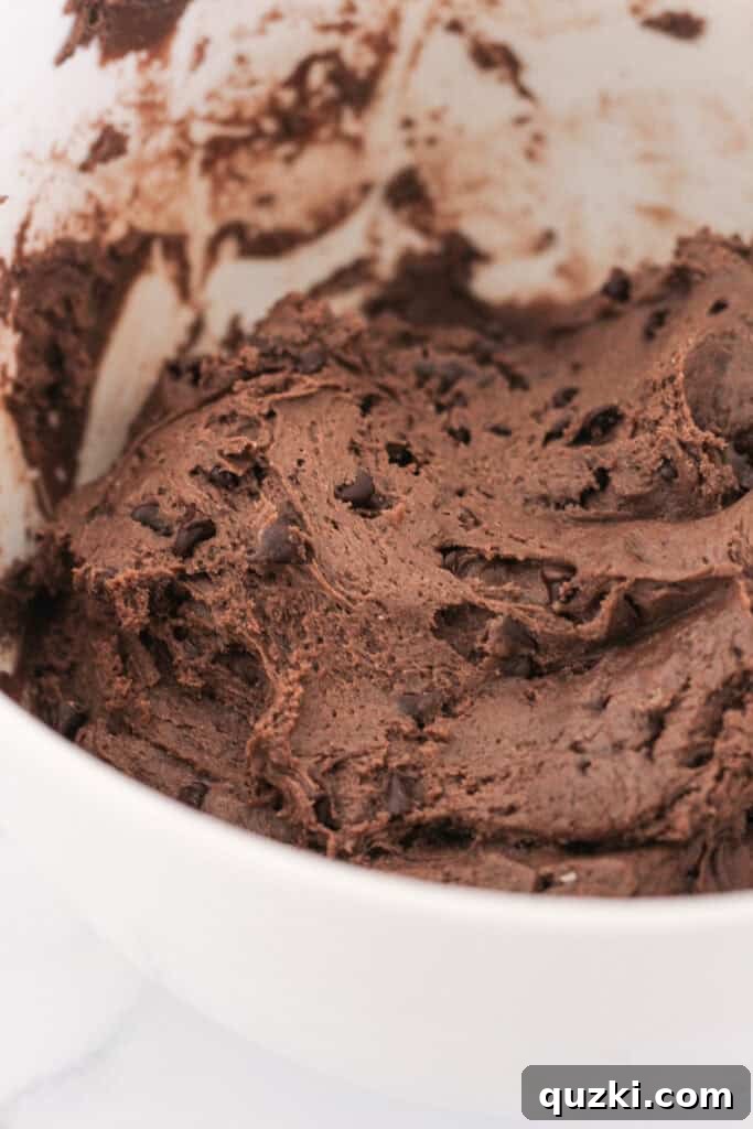Ultimate Chocolate M and Ms Cookie Treat 4 A bowl of rich chocolate cookie dough, made from a cake mix, studded with tiny mini chocolate chips, ready for the next step.