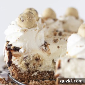 Looking at the inside of no bake cookie dough cheesecake, highlighting its rich layers and textures.
