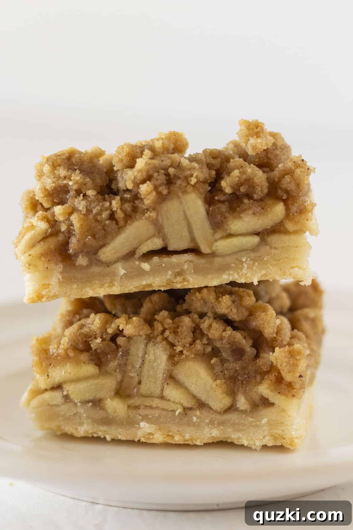 Simply Delicious Dutch Apple Pie Bars 8 Two freshly baked and neatly cut Dutch apple pie bars stacked elegantly on top of each other, prominently displaying the distinct, delicious layers of the flaky crust, tender spiced apple filling, and golden-brown crumble topping.