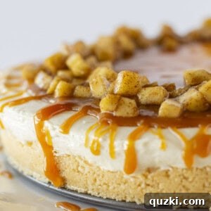 A whole caramel apple no-bake cheesecake, garnished with apples and caramel.