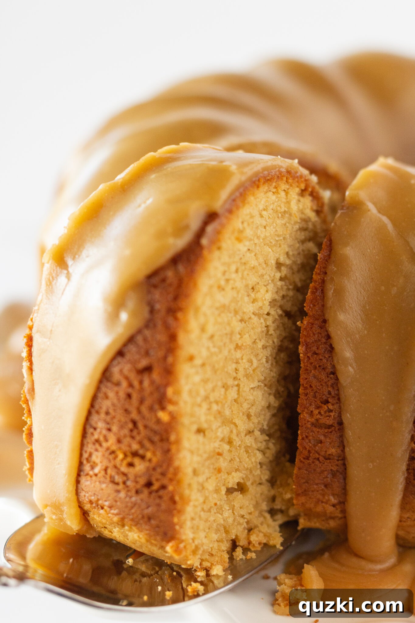 Peanut Butter Texas Sheet Cake Bundt Cake Recipe Made with a Cake Mix by top US dessert blogger, Practically Homemade - A beautifully frosted Bundt cake on a serving plate, ready to be enjoyed.