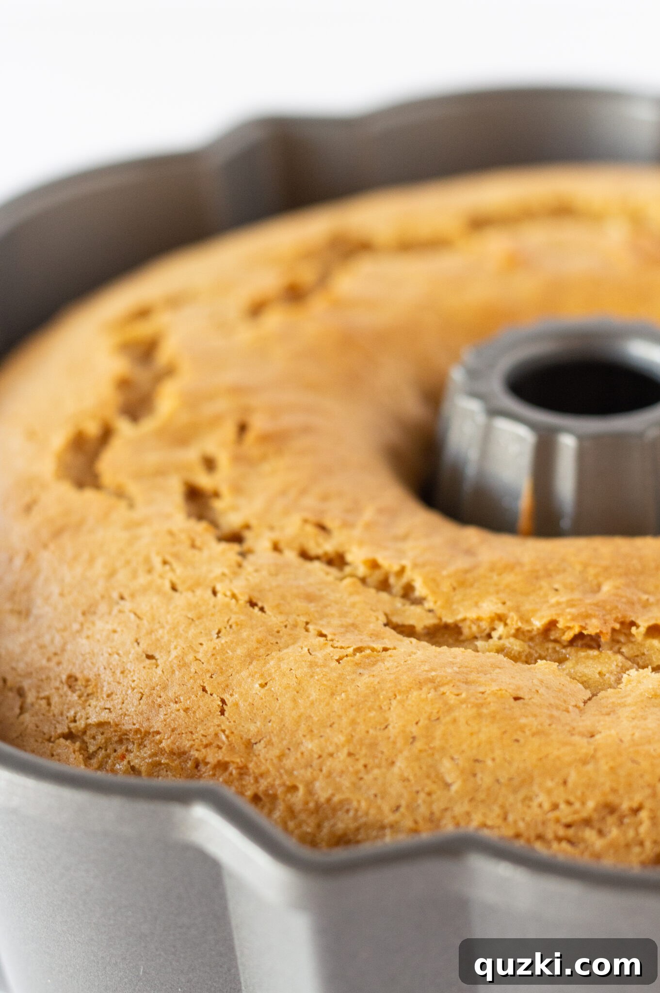 Peanut Butter Texas Sheet Cake Bundt Cake Recipe Made with a Cake Mix by top US dessert blogger, Practically Homemade - Bundt cake freshly inverted onto a cooling rack, maintaining its perfect shape.
