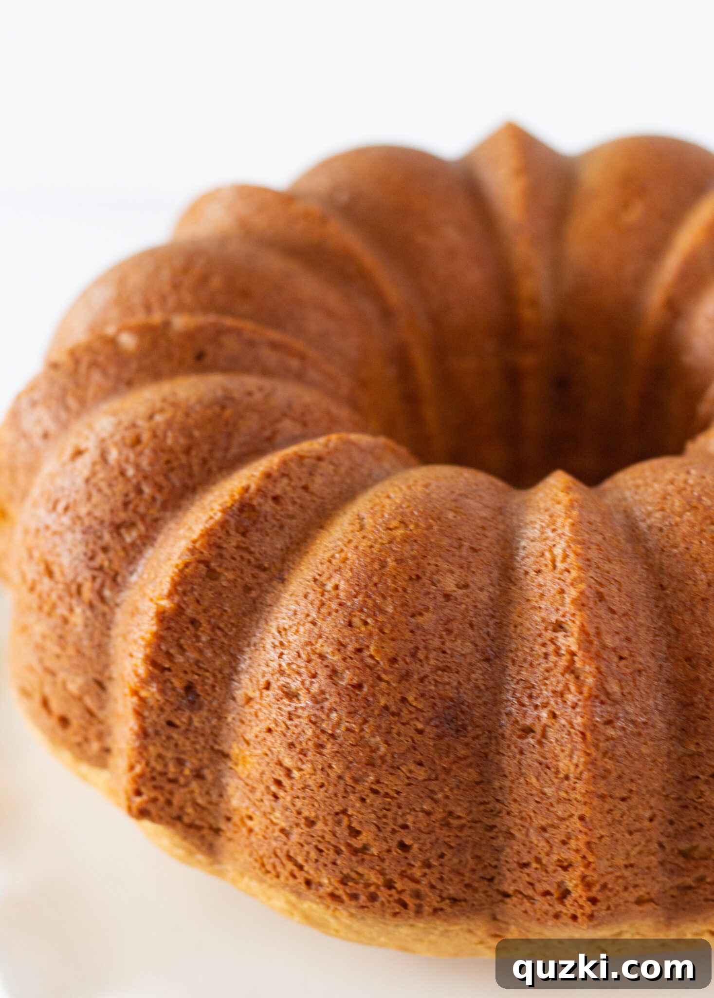 Peanut Butter Texas Sheet Cake Bundt Cake Recipe Made with a Cake Mix by top US dessert blogger, Practically Homemade - Cooled Bundt cake, perfectly shaped and ready for its creamy peanut butter frosting.