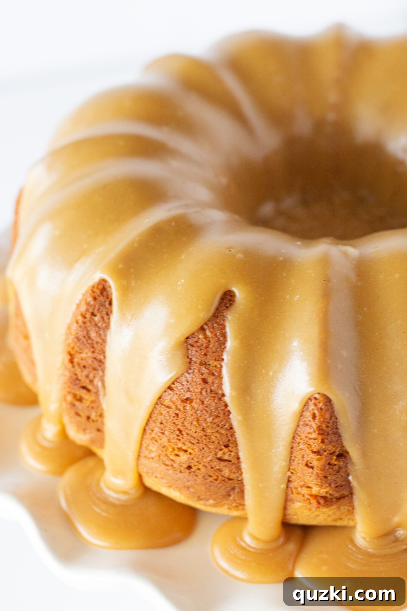 Peanut Butter Texas Sheet Cake Bundt Cake Recipe Made with a Cake Mix by top US dessert blogger, Practically Homemade - The final Peanut Butter Texas Sheet Cake Bundt Cake, generously covered in decadent frosting.
