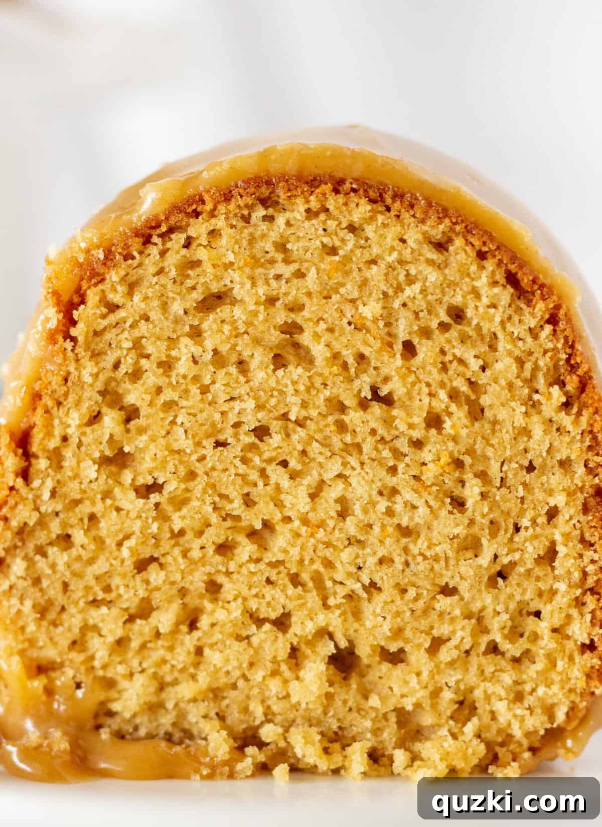 Peanut Butter Texas Sheet Cake Bundt Cake Recipe Made with a Cake Mix by top US dessert blogger, Practically Homemade - A perfect slice of the Bundt cake on a white plate, showcasing its moist interior and delicious frosting.