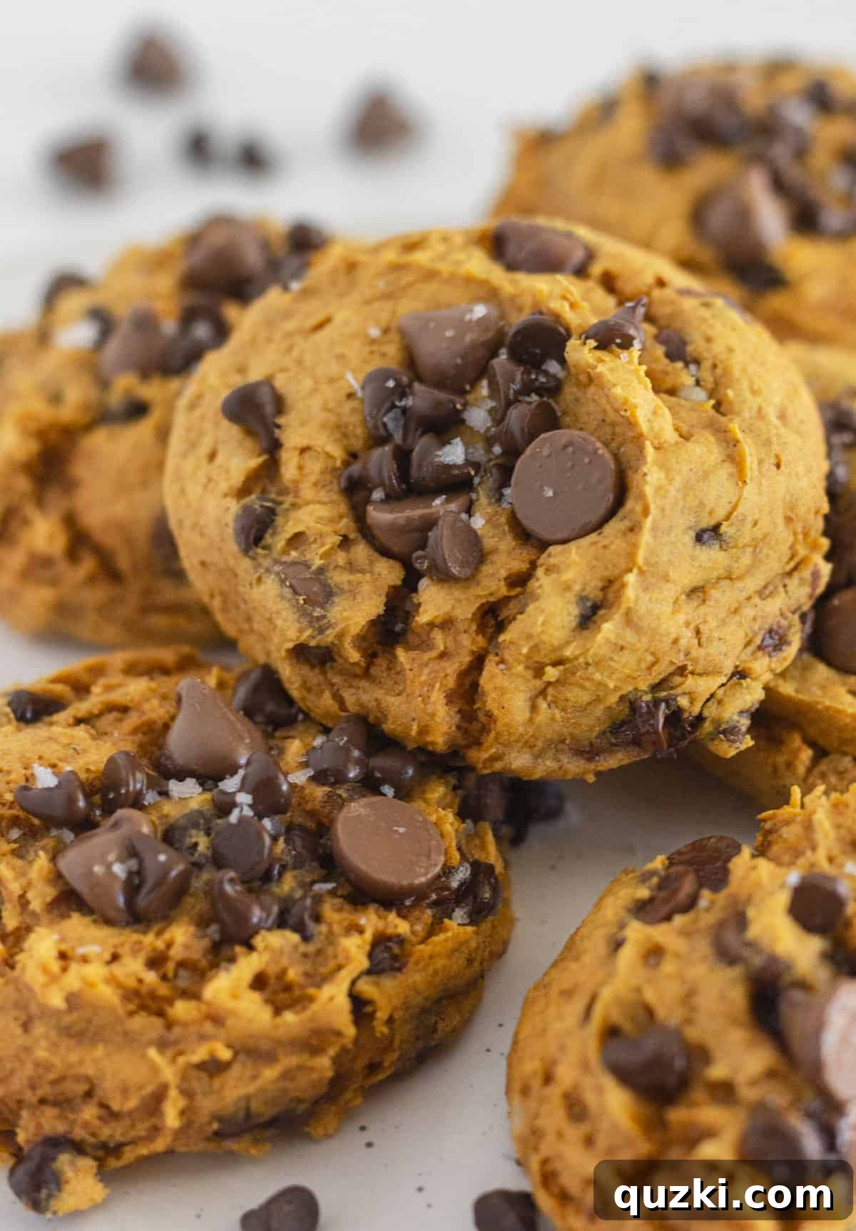 Perfect Homemade Pumpkin Spice 7 Soft and chewy Pumpkin Chocolate Chip Cookies on a white plate, perfect for fall.