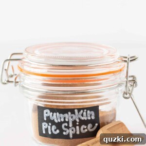 Homemade Pumpkin Pie Spice Recipe featured by top US dessert blogger, Practically Homemade