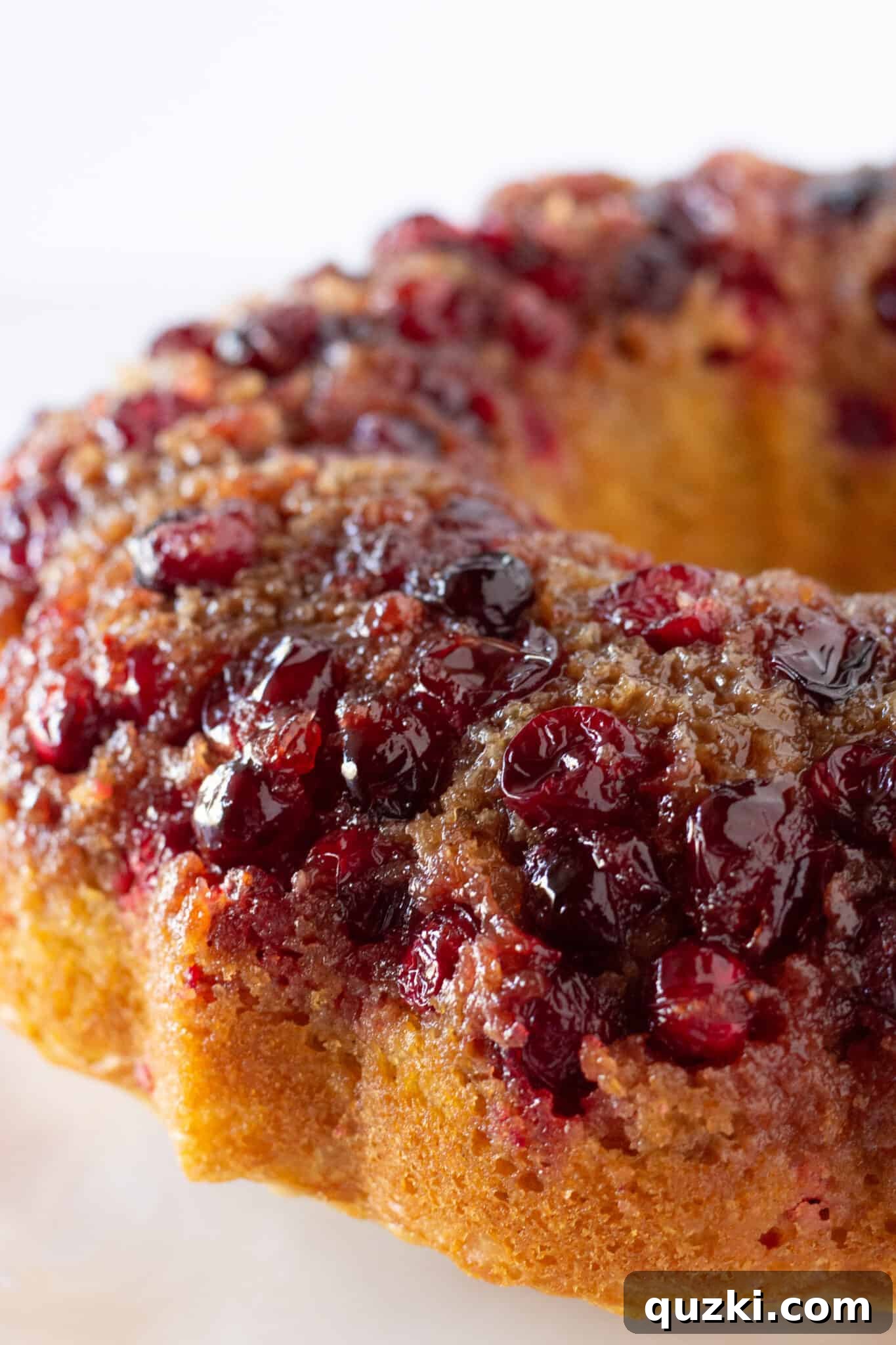 Easy Cranberry Upside Down Bundt Cake Recipe with a Cake Mix featured by top US dessert blogger, Practically Homemade