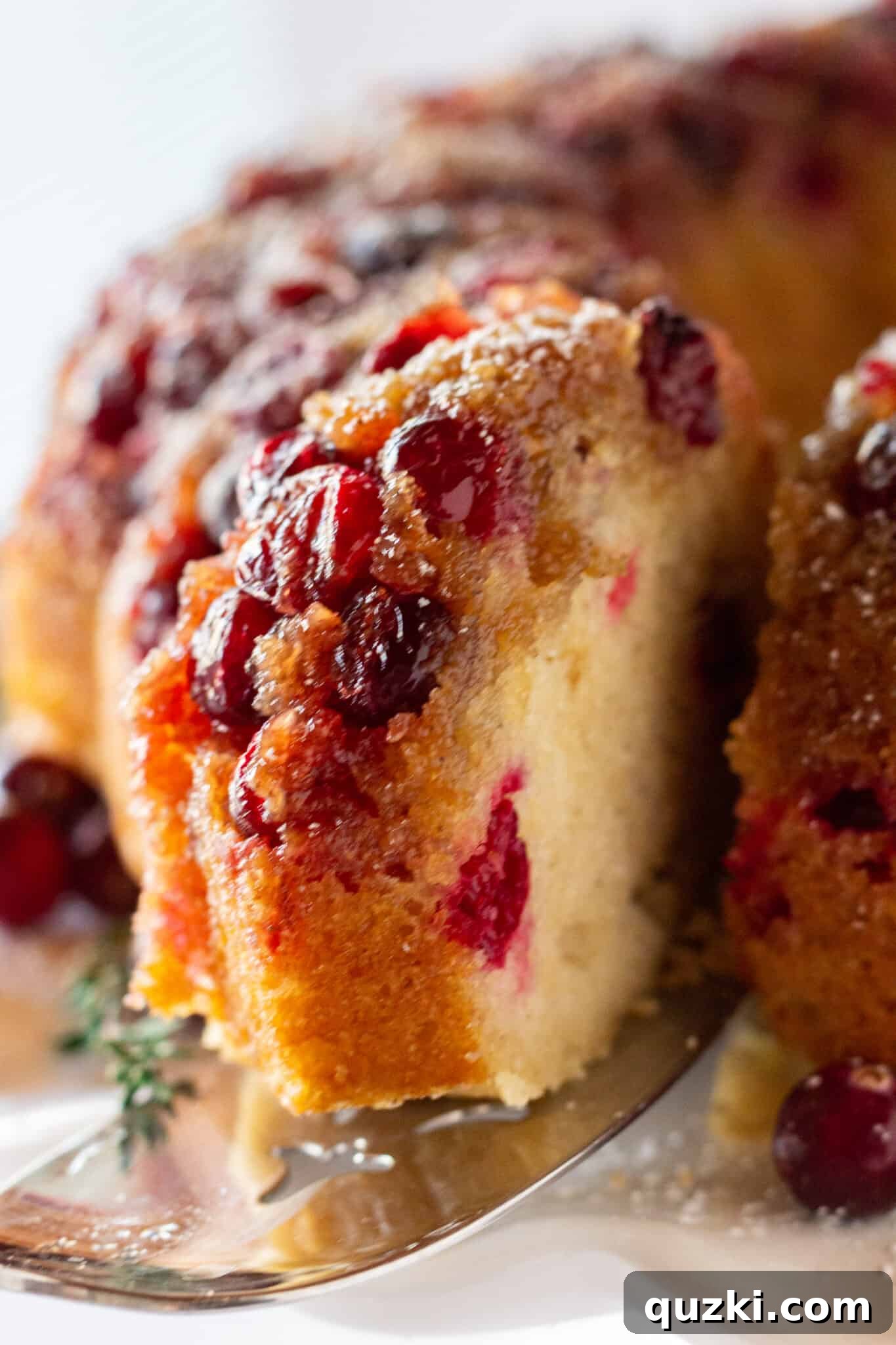 Easy Cranberry Upside Down Bundt Cake Recipe with a Cake Mix featured by top US dessert blogger, Practically Homemade