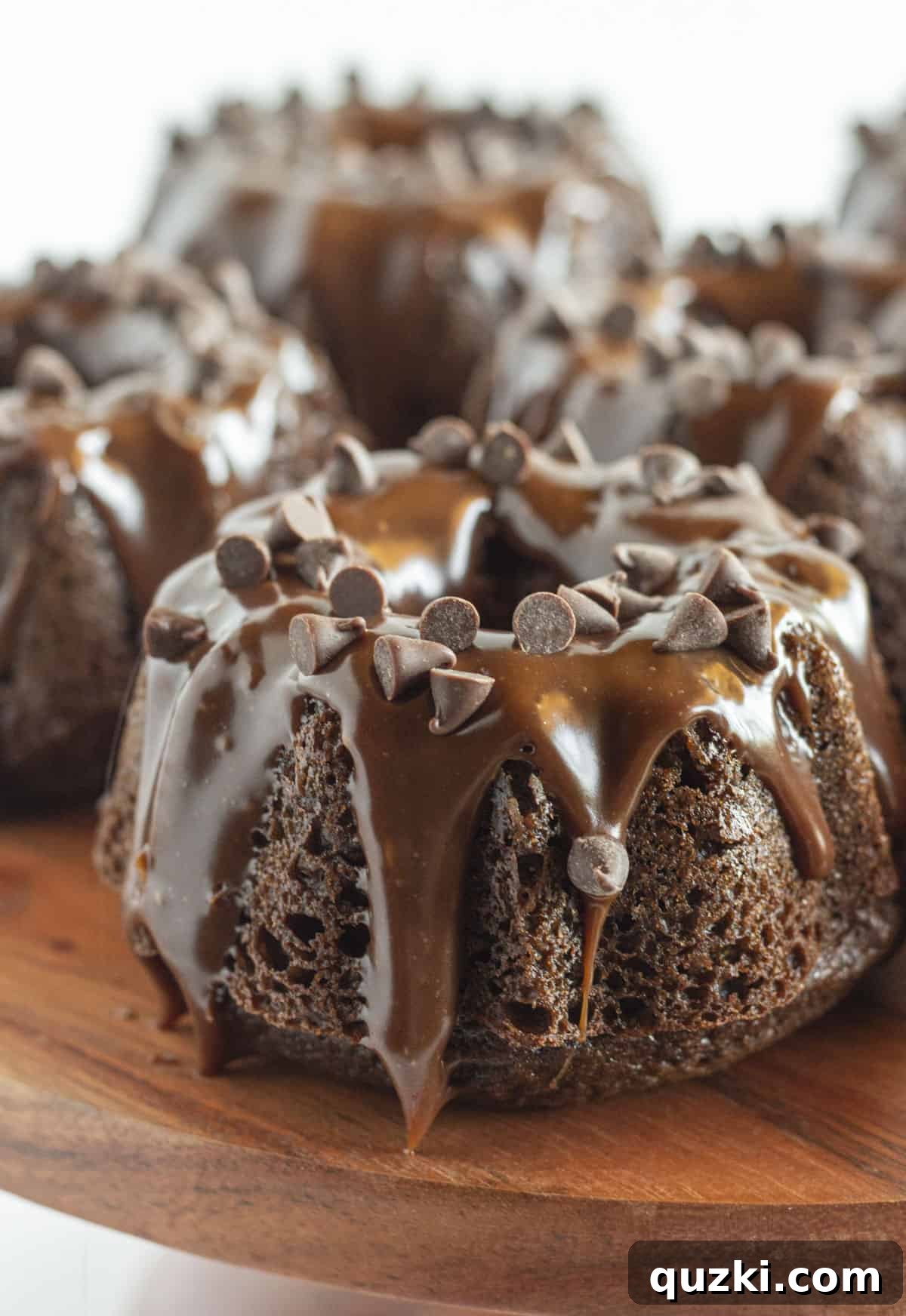 Stunning Christmas Bundt Cakes to Dazzle Your Guests 13 A half dozen delightful mini chocolate Bundt cakes, elegantly glazed with chocolate and topped with mini chocolate chips.