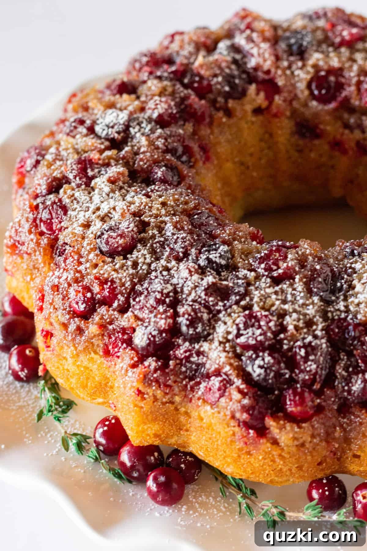 Stunning Christmas Bundt Cakes to Dazzle Your Guests 3 A beautifully baked Cranberry Upside Down Bundt Cake, generously dusted with powdered sugar, ready for serving.