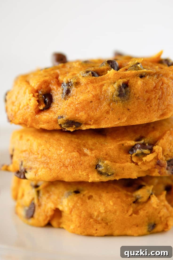 Top US cookies blogger, Practically Homemade, shares her Cake Mix Pumpkin Chocolate Chip Cookies recipe, perfect for Fall.
