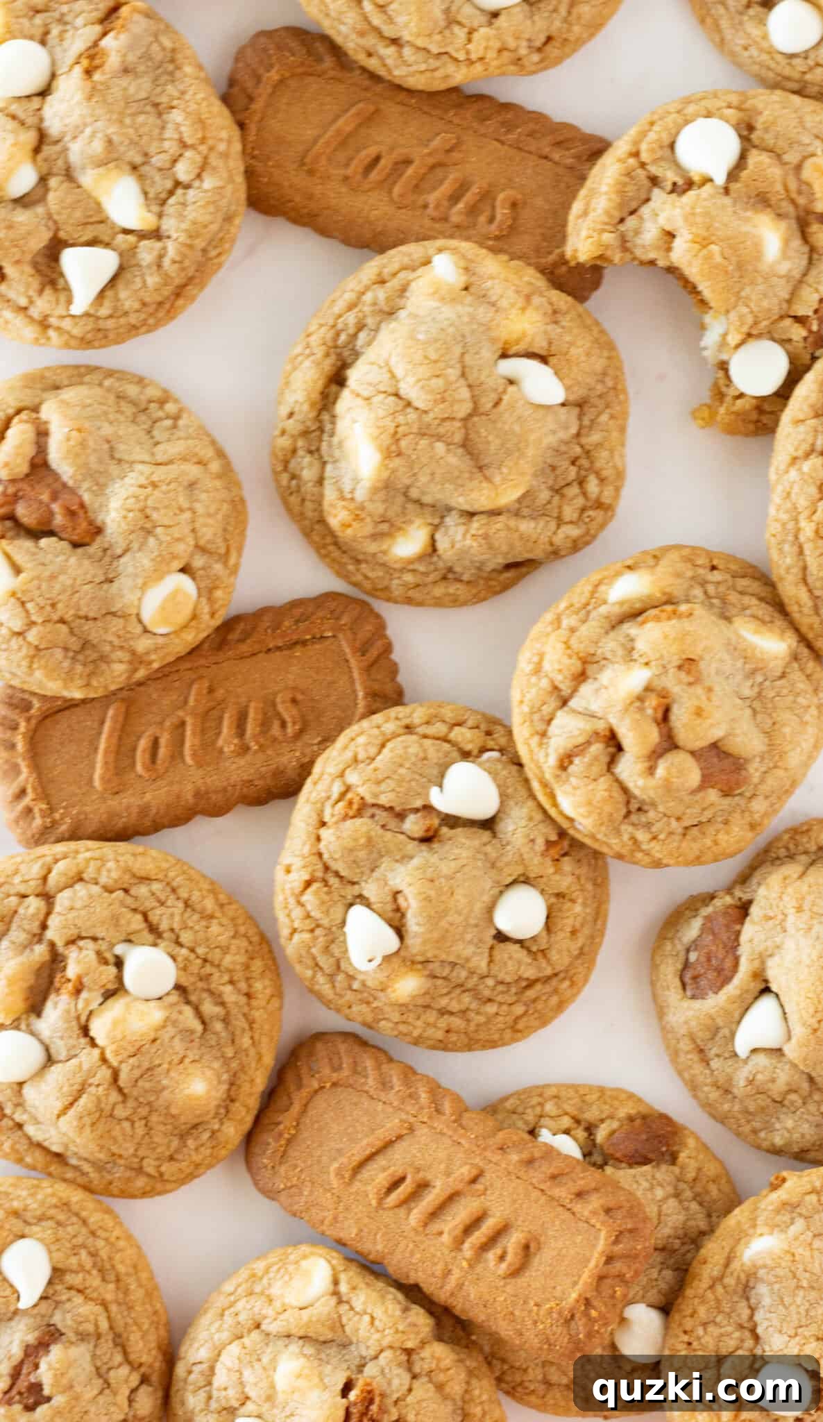 Easy Homemade Biscoff Cookies Recipe with a Cake Mix featured by top US cookie blogger, Practically Homemade