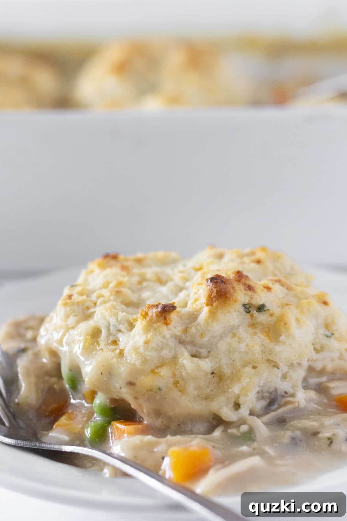 A beautiful close-up of a serving of chicken and biscuits casserole on a white plate, ready to be enjoyed.