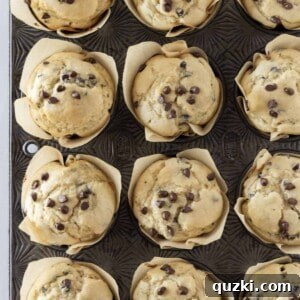 An overhead view of a dozen golden-brown pancake mix muffins, brimming with chocolate chips, neatly arranged in a muffin pan.
