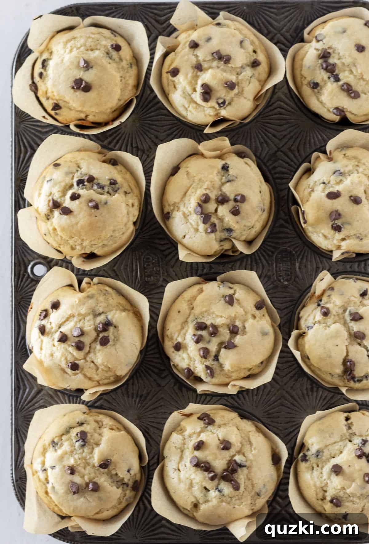 An inviting overhead shot of a dozen golden-brown pancake mix chocolate chip muffins, cooling on a rack, freshly baked and ready to be enjoyed.