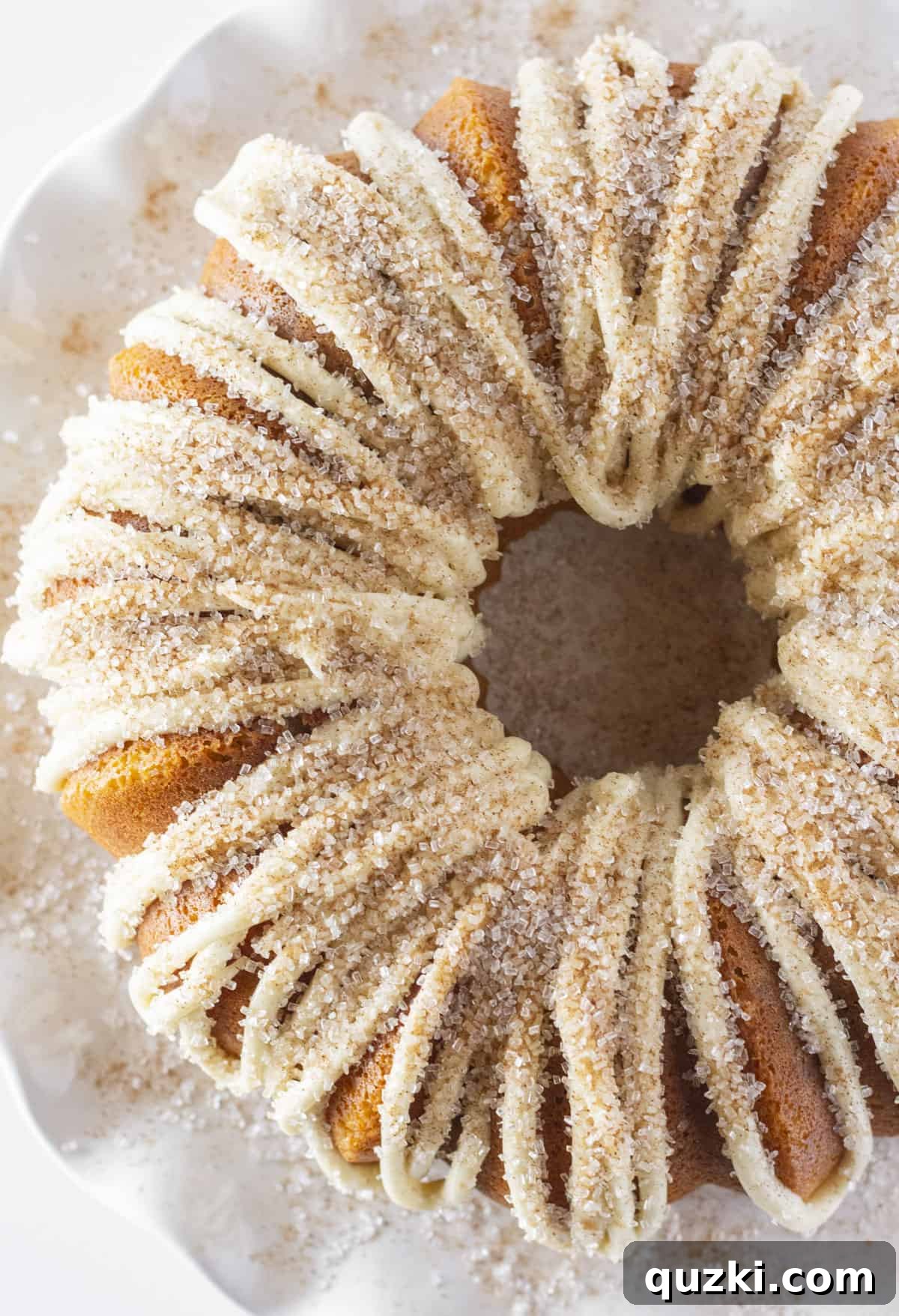 Looking down on a whole Snickerdoodle Bundt Cake with cinnamon sugar topping.