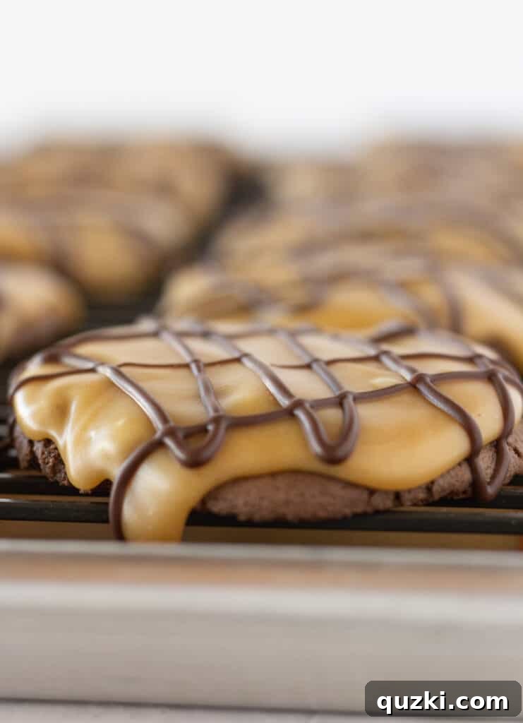 Amazing Chocolate Peanut Butter Texas Sheet Cake Cookies from a cake mix, featured by top US cookies blogger, Practically Homemade