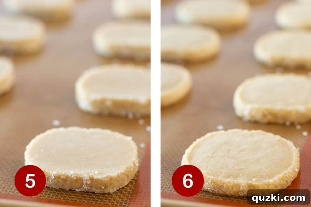 Brown Sugar Shortbread Delight 5 The final two steps in making brown sugar shortbread are illustrated: step 5 shows cookie rounds placed on a baking sheet, ready for the oven, and step 6 displays the baked cookies cooling on the sheet.