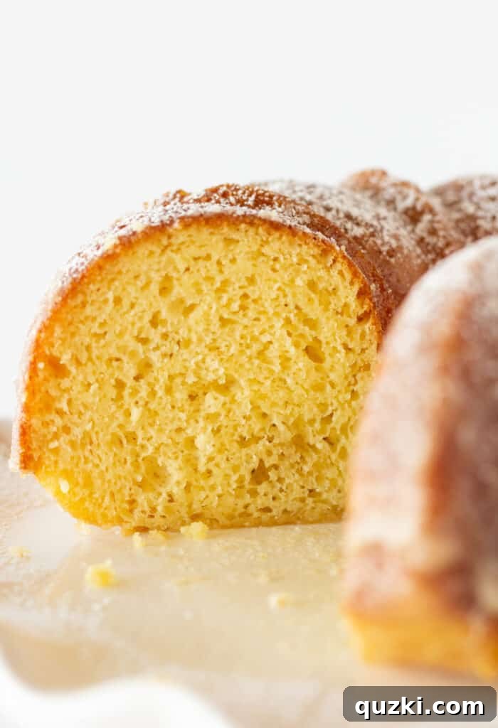 45 Simple & Stunning Cake Mix Bundt Cake Recipes 12 Best Bundt Cakes: Kentucky Butter Bundt Cake recipe featured by Practically Homemade