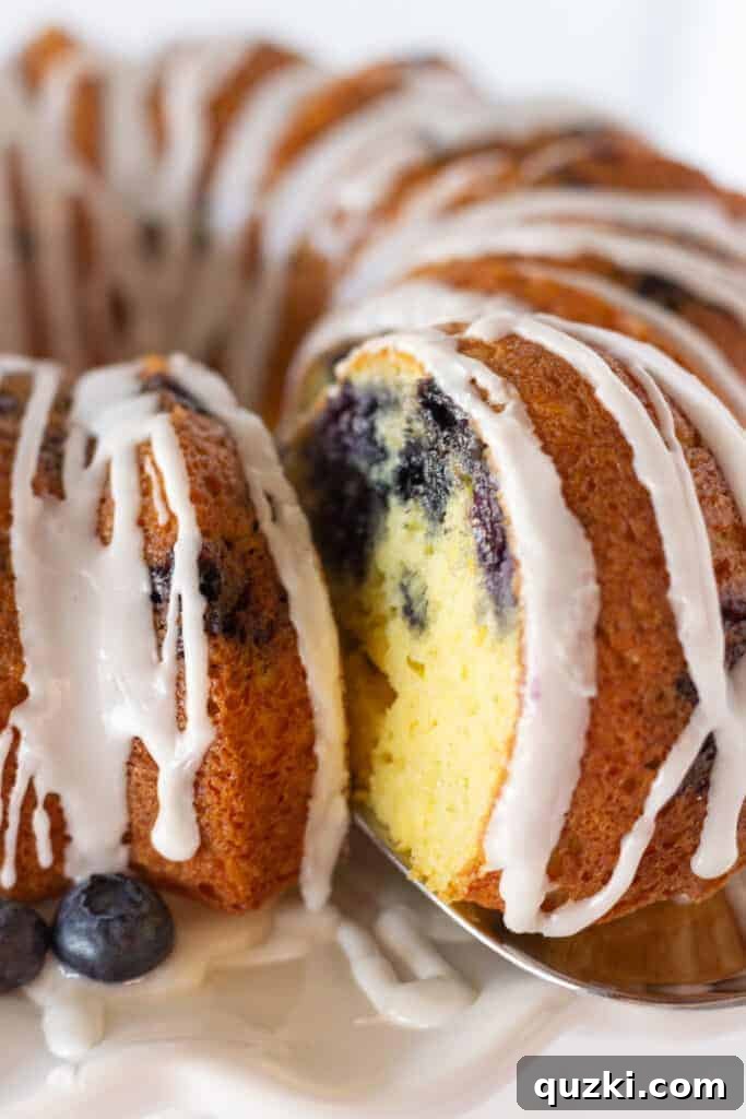 45 Simple & Stunning Cake Mix Bundt Cake Recipes 14 Best Bundt Cakes: Blueberry Bundt Cake recipe featured by Practically Homemade