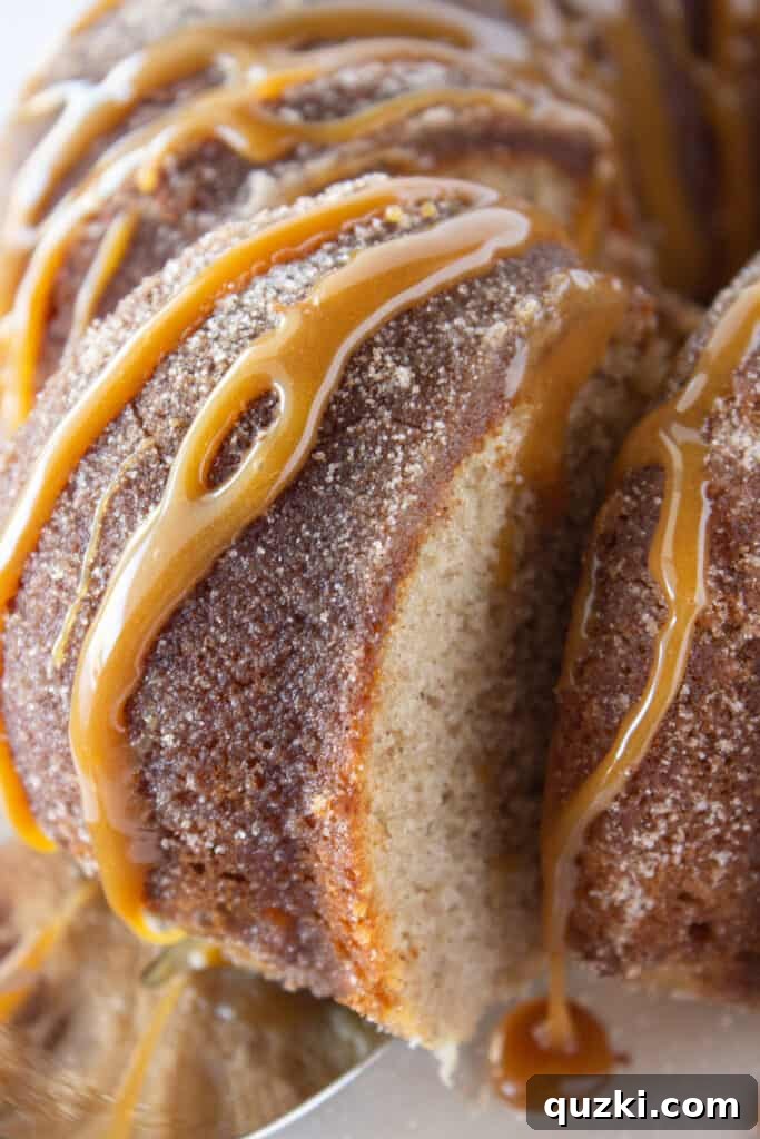 45 Simple & Stunning Cake Mix Bundt Cake Recipes 18 Best Bundt Cakes: Churro Bundt Cake recipe featured by Practically Homemade
