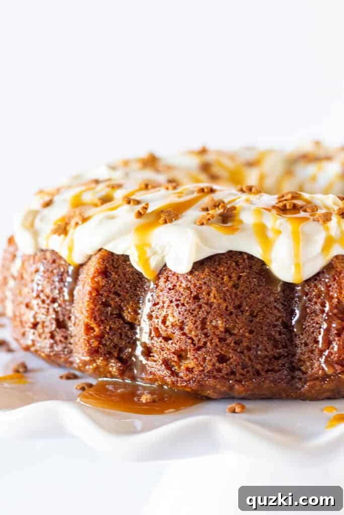 45 Simple & Stunning Cake Mix Bundt Cake Recipes 25 Best Bundt Cakes: Gingerbread Bundt Cake recipe featured by Practically Homemade