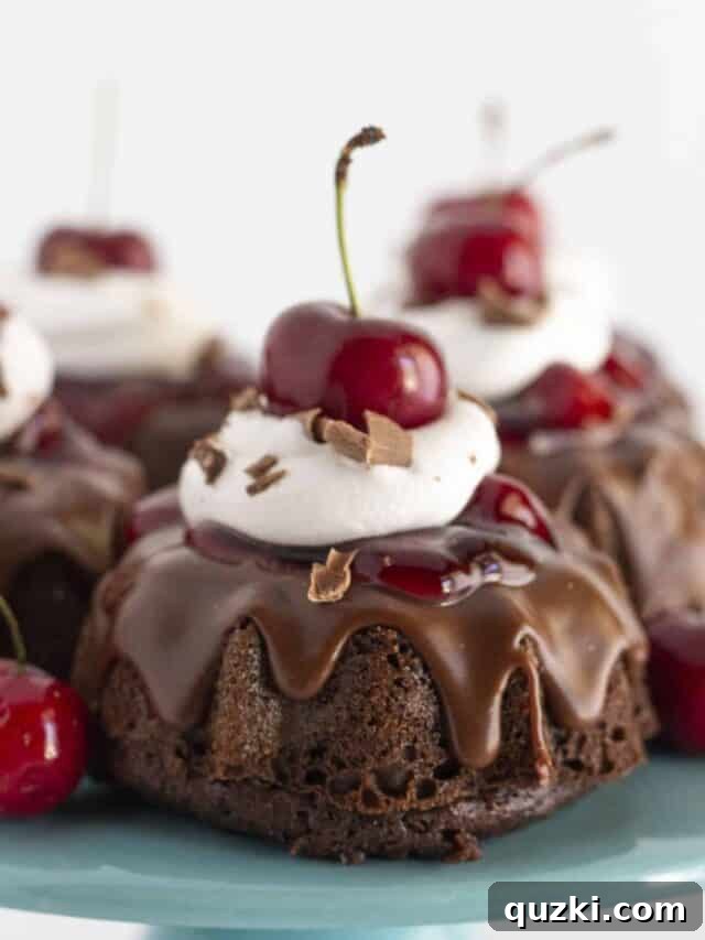 45 Simple & Stunning Cake Mix Bundt Cake Recipes 29 Mini black forest cakes with cherry pie filling, whipped topping and chocolate shavings.