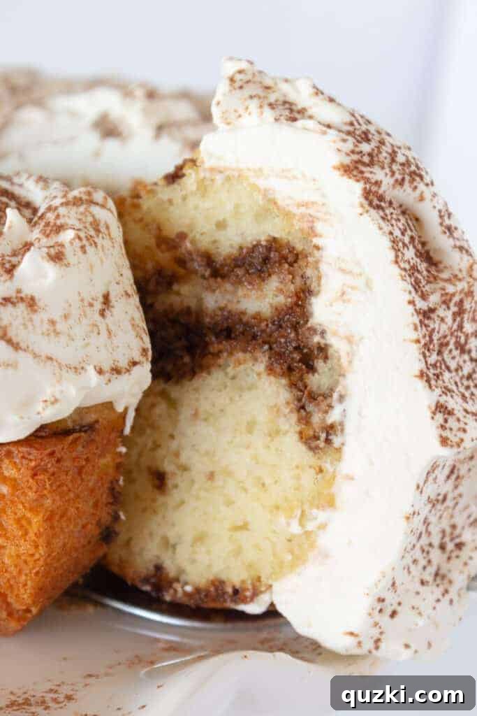 45 Simple & Stunning Cake Mix Bundt Cake Recipes 5 Best Bundt Cakes: Tiramisu Bundt Cake recipe featured by Practically Homemade