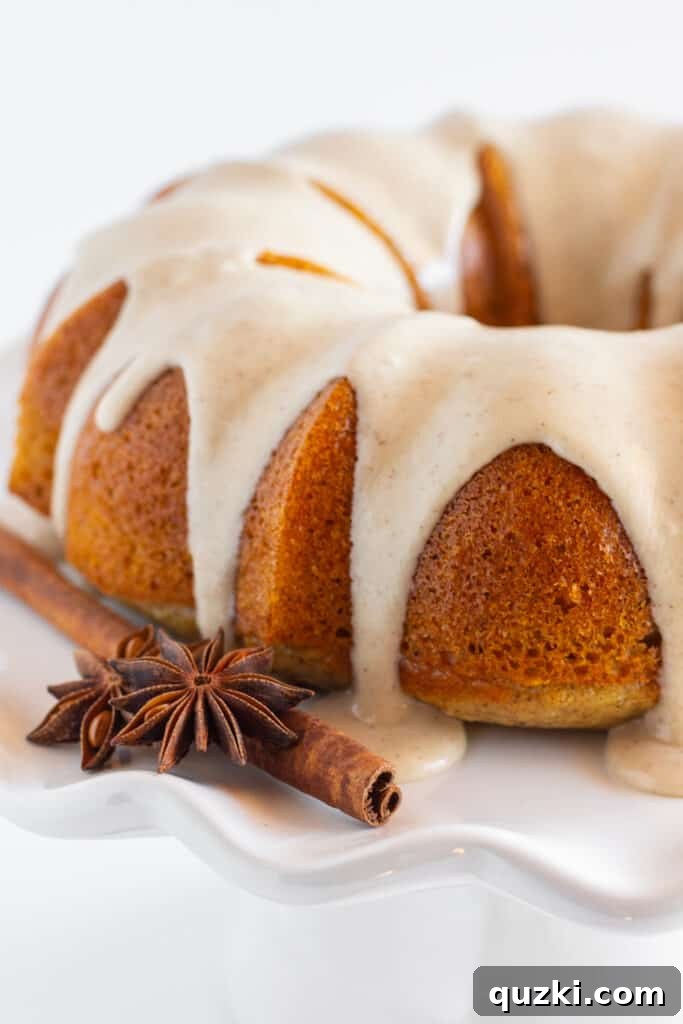 45 Simple & Stunning Cake Mix Bundt Cake Recipes 41 A finished spice bundt cake on a white plate.