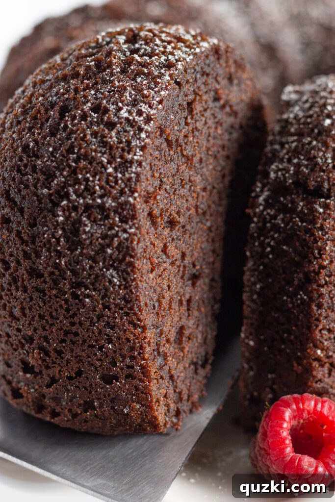 45 Simple & Stunning Cake Mix Bundt Cake Recipes 43 Serving a piece of brownie bundt cake.