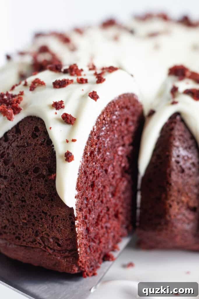 45 Simple & Stunning Cake Mix Bundt Cake Recipes 45 Serving a slice of red velvet bundt cake.