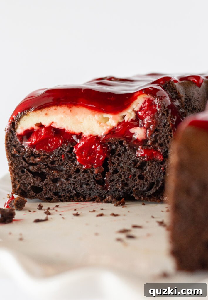 45 Simple & Stunning Cake Mix Bundt Cake Recipes 10 Cherry Cheesecake Chocolate Bundt Cake Recipe Made with a Cake Mix featured by top US dessert blogger, Practically Homemade