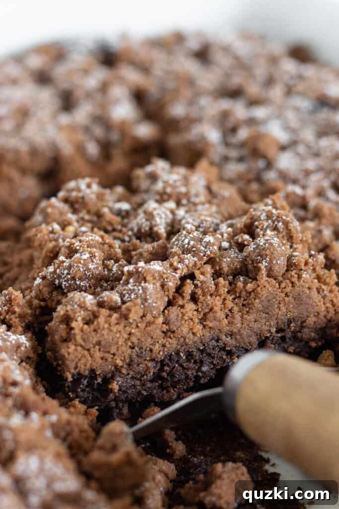 Effortless Chocolate Crumb Cake Made with a Cake Mix 2 Easy Chocolate Crumb Cake Recipe with a Cake Mix, featuring a generous chocolate crumb topping, perfect for any occasion.