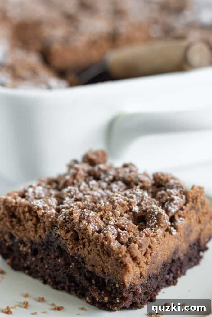 Effortless Chocolate Crumb Cake Made with a Cake Mix 3 A close-up of a slice of Easy Chocolate Crumb Cake, showcasing the moist cake and thick streusel topping.