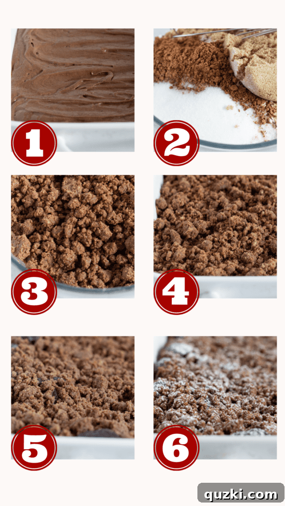 Effortless Chocolate Crumb Cake Made with a Cake Mix 4 A beautifully baked Easy Chocolate Crumb Cake, fresh from the oven, with a thick, golden-brown chocolate streusel.