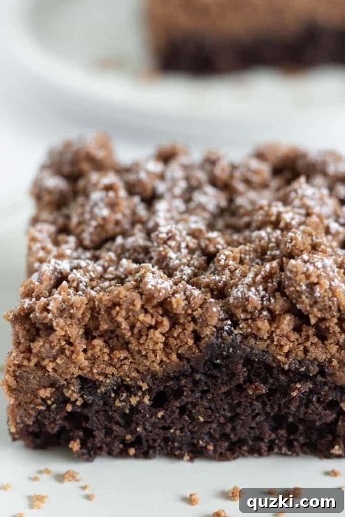 Effortless Chocolate Crumb Cake Made with a Cake Mix 5 A delicious slice of Easy Chocolate Crumb Cake, garnished with powdered sugar, ready to be enjoyed.