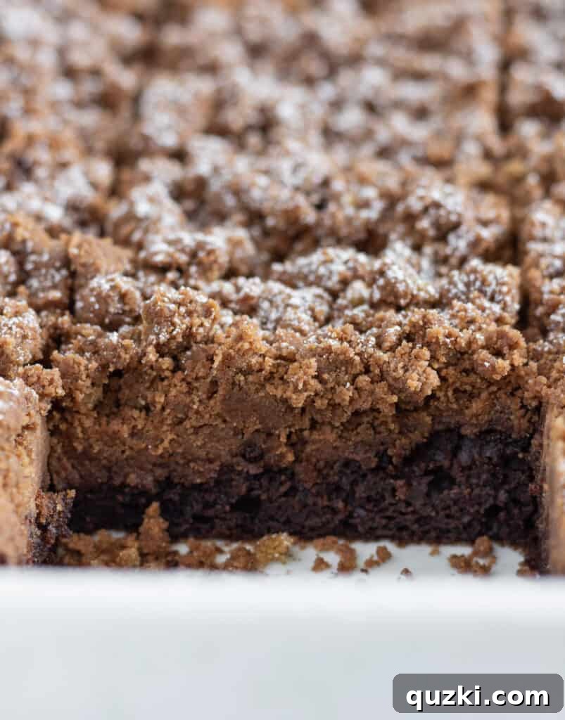 Effortless Chocolate Crumb Cake Made with a Cake Mix 6 An overhead shot of the full Easy Chocolate Crumb Cake, sliced into generous squares, ready for serving.