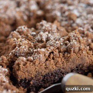 Effortless Chocolate Crumb Cake Made with a Cake Mix 7 Serving a piece of chocolate crumb cake.