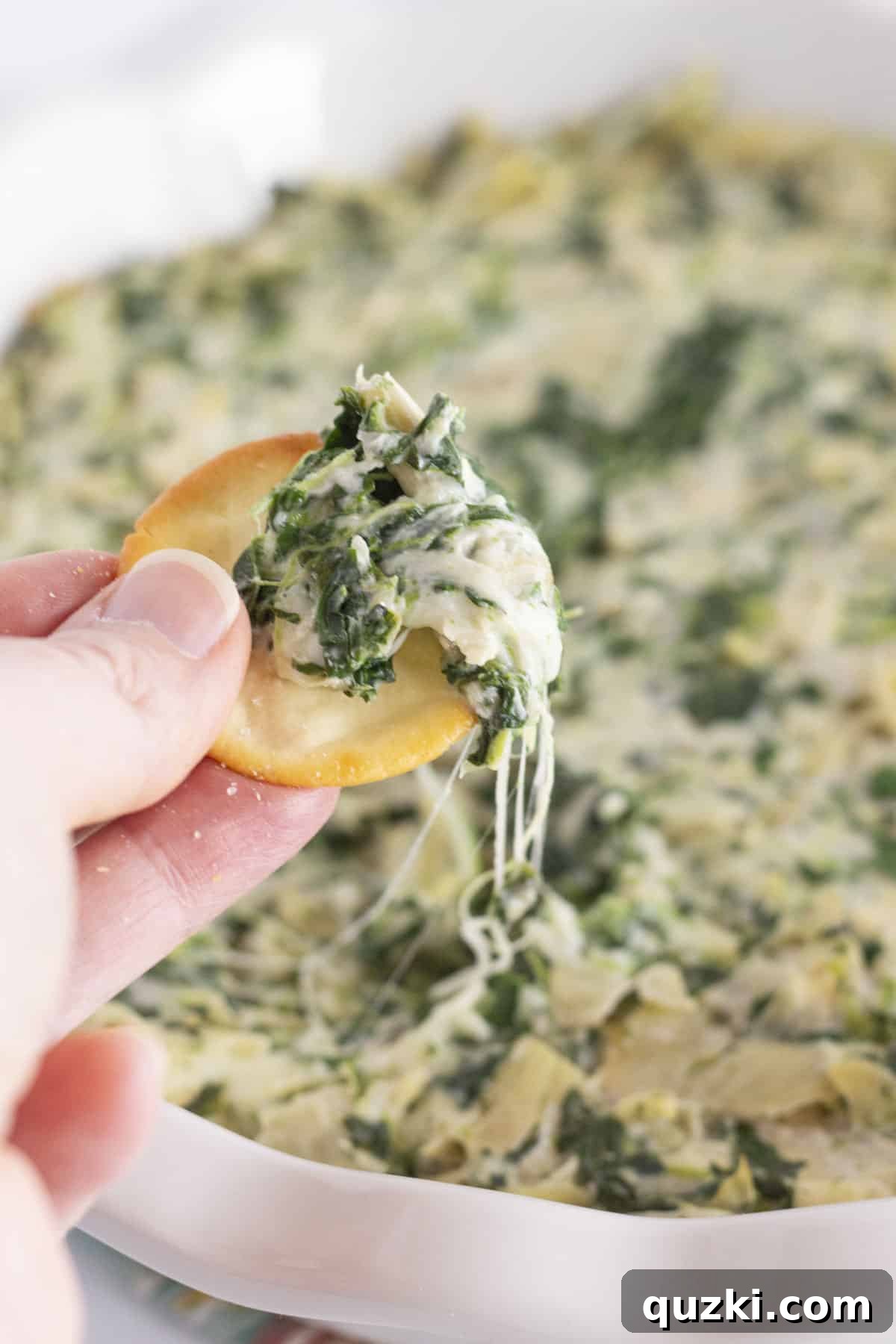 Taking a scoop of spinach and artichoke dip without mayo.