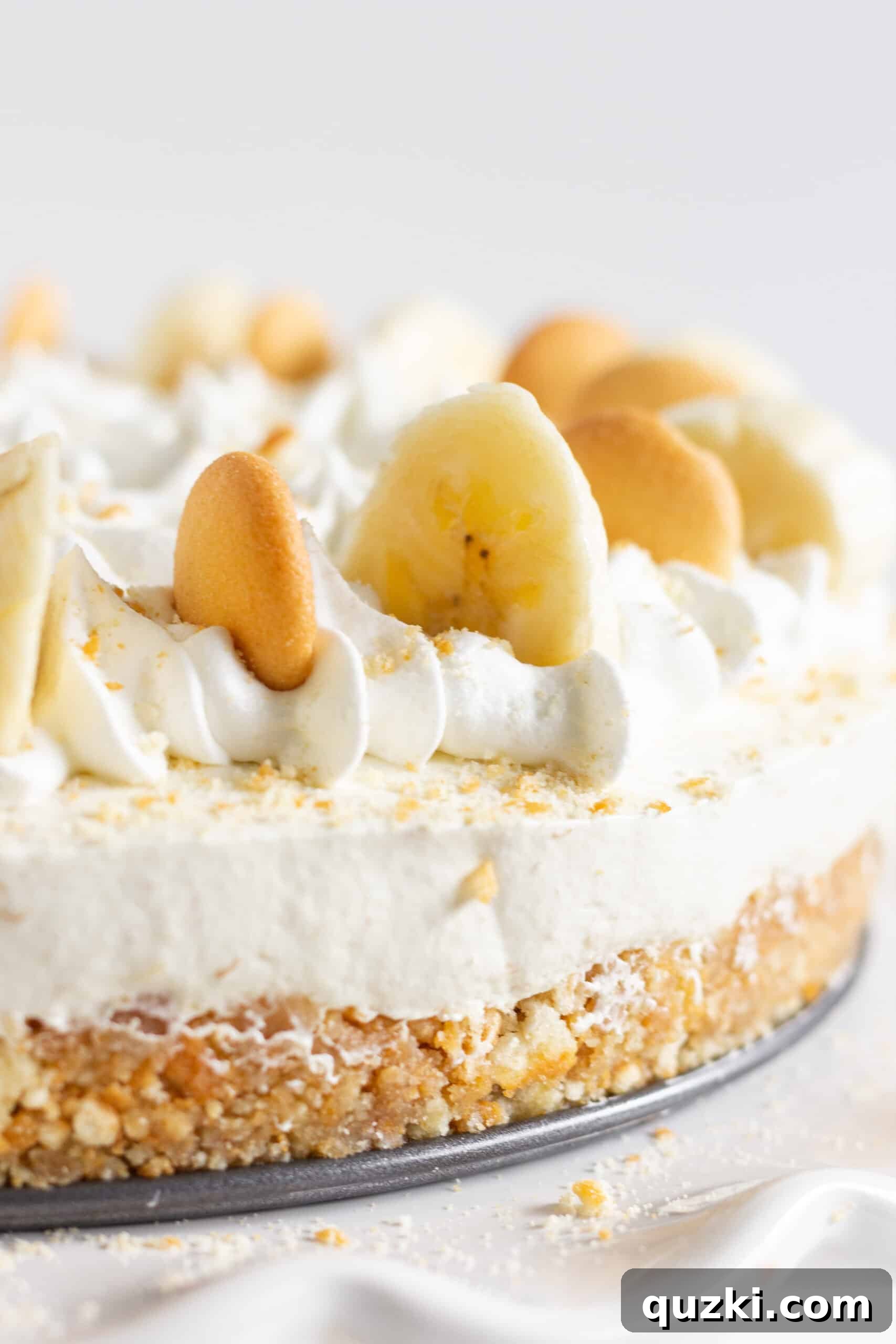 A finished banana pudding no bake cheesecake with banana chips on top.