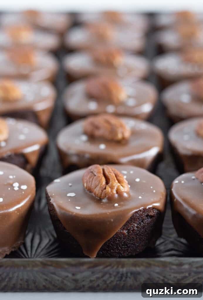 No-Bake Texas Sheet Cake Poppers 2 Easy No Bake Texas Sheet Cake Bites, a quick chocolate dessert by Practically Homemade