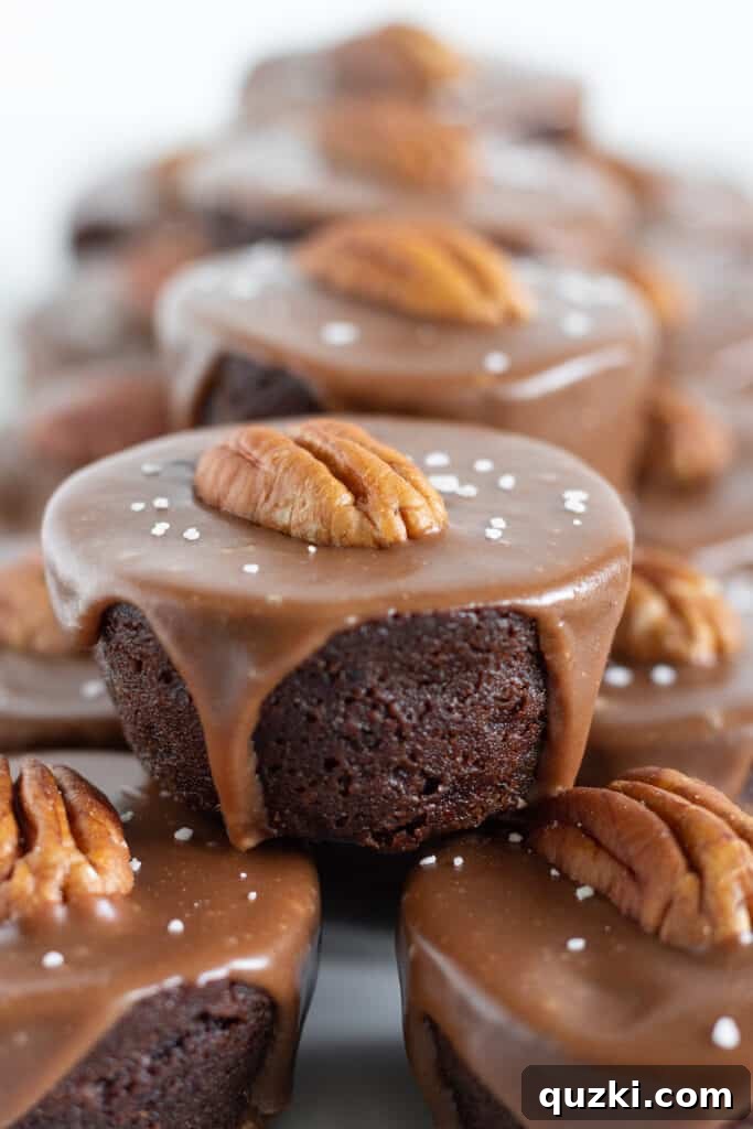 No-Bake Texas Sheet Cake Poppers 5 Beautifully garnished Easy No Bake Texas Sheet Cake Bites with various toppings