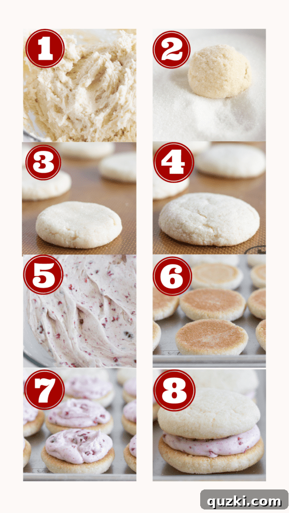 Pillowy Raspberry Cream Cheese Sandwich Cookies 4 Steps for making Sugar Cookie Sandwiches with Raspberry Cream Cheese Frosting, by Top US cookie blog Practically Homemade